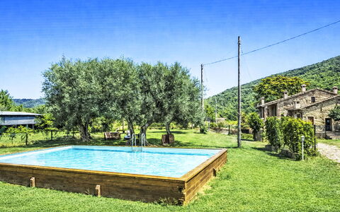 Cotoneaster: Schwimmbad, Garten, Eco Hotel, Hinterhof, Bauernhaus, Resort, Garten, Landscaping, Water Feature, Hazienda