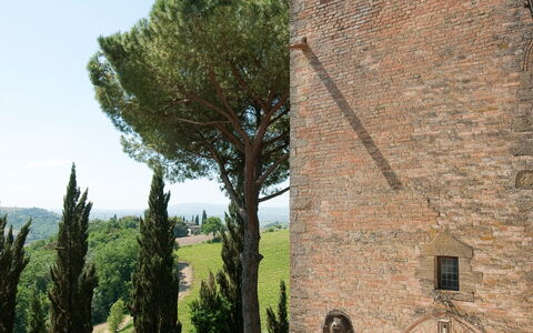 Castello di Cabbiavoli: Wand, Die Architektur, Strauch, Backstein, Mauerwerk, Landscaping, Steinwand, Estate, Garten, Hecke