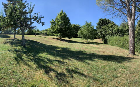 Casa Chimera: Baum, Gras, Natürlichen Umgebung, Ast, Wiese, Einfach, Grundstueck, Weide, Kofferraum