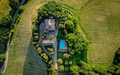 Maison Badia a Passignano: Plantage, Eco Hotel, Garten, Estate, Landwirtschaft, Landscaping, Vogelperspektive, Hinterhof, Villa