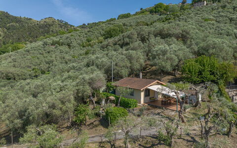 Bella Casina