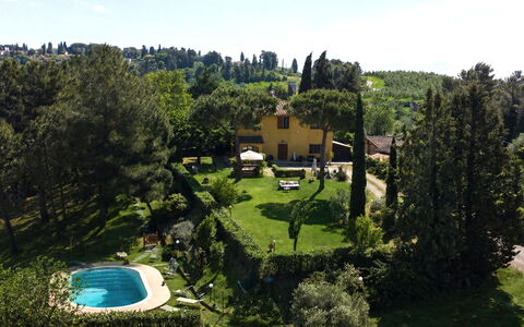Villa Quintino: Strauch, Garten, Zuhause, Estate, Hütte, Landscaping, Rasen, Hazienda, Schwimmbad, Hinterhof