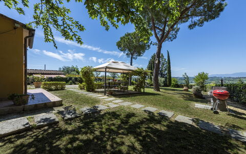Villa Quintino: Strauch, Garten, Schatten, Landscaping, Garten, Stuhl, Flagstone, Gartenmöbel, Hinterhof, Eco Hotel