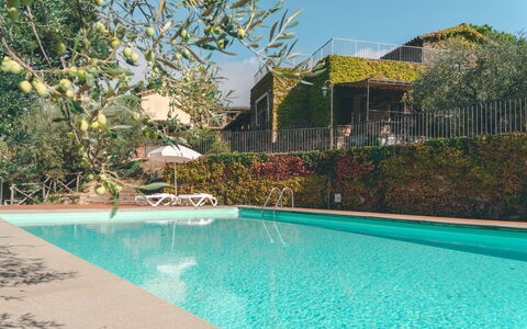 House in the Woods, Pool and Relax in Umbria: Schwimmbad, Resort, Eco Hotel, Hazienda, Estate, Villa, Schatten, Garten, Hinterhof, Landscaping