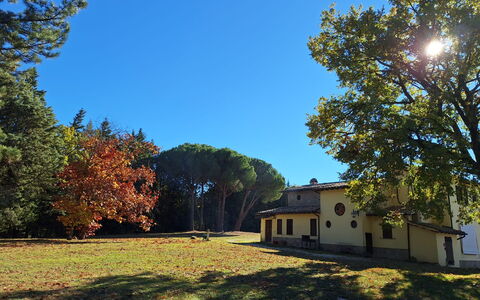 House in the Woods, Pool and Relax in Umbria: Baum, Gras, Blatt, Ast, Haus, Zuhause, Einfach, Grundstueck, Rasen, Kofferraum