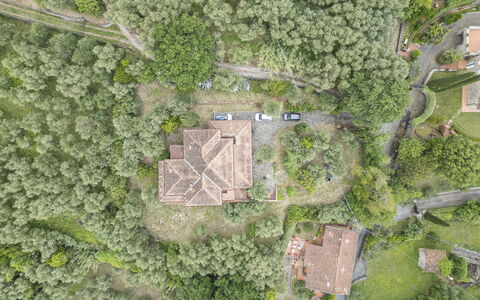 Villa Golly: Landschaft, Estate, Luftaufnahmen, Dorf, Plantage, Vogelperspektive, Dschungel, Villa, Chaparral