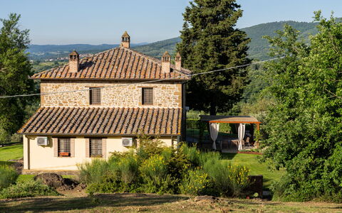 Il Cipresso - L'Olmo - L'Ulivo: Gras, Haus, Ländliches Gebiet, Hütte, Dach, Zuhause, Landschaft, Einfach, Grundstueck