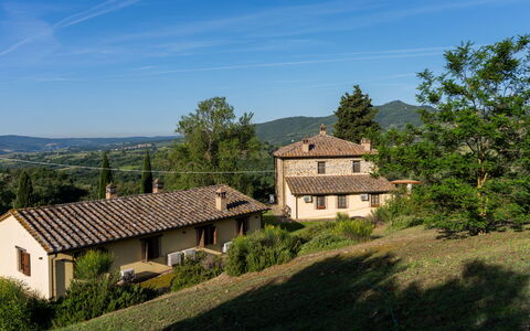 Il Cipresso - L'Olmo - L'Ulivo: Gras, Haus, Ländliches Gebiet, Hütte, Dach, Zuhause, Landschaft, Einfach, Grundstueck