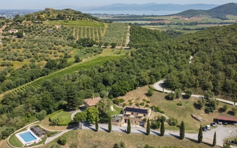 Il Cipresso - L'Olmo - L'Ulivo: Gras, Haus, Ländliches Gebiet, Hütte, Dach, Zuhause, Landschaft, Einfach, Grundstueck