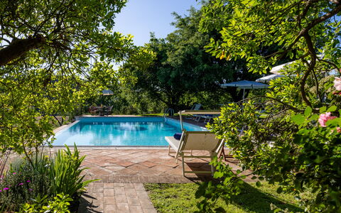 Villa Santa Barbara, Pool and Relax, Siena Country: Schwimmbad, Resort, Strauch, Garten, Schatten, Gartenmöbel, Eco Hotel, Freizeit, Landscaping