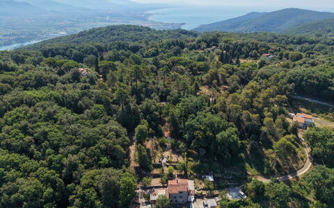La Rustica: Natürlichen Umgebung, Vegetation, Landschaft, Pflanzengemeinschaft, Wald, Bergstation, Vogelperspektive, Dschungel, Luftaufnahmen, Dorf