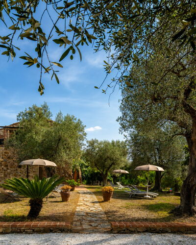 Casale delle Lupe, Campiglia Marittima: Garten, Estate, Hazienda, Landscaping, Bauernhaus, Garten, Villa, Schatten, Hinterhof, Auffahrt