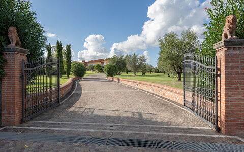 Villa Gabri 8: Backstein, Mauerwerk, Auffahrt, Garten, Estate, Tor, Landscaping, Walkway, Zaun, Pfad