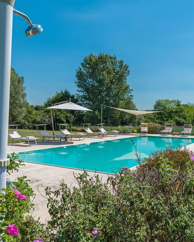 Alborata 10: Schwimmbad, Resort, Garten, Landscaping, Schatten, Eco Hotel, Gartenmöbel, Estate, Park, Plantage