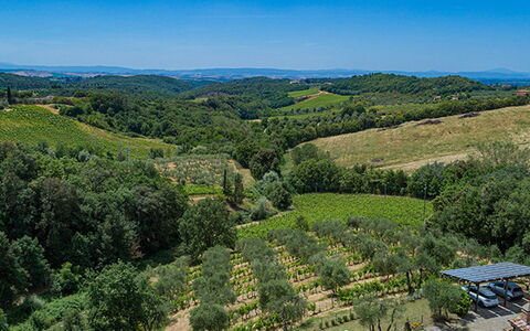 Villa Santa Maria 14: Vegetation, Natürliche Landschaft, Landschaft, Ländliches Gebiet, Plantage, Hochland, Grundstueck, Landwirtschaft, Pflanzengemeinschaft, Feld