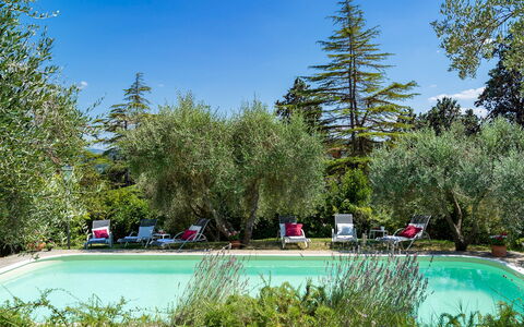 Villa Fiorentini 10: Strauch, Garten, Hazienda, Landscaping, Estate, Garten, Hinterhof, Gartenmöbel, Schatten, Villa