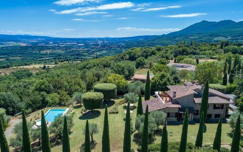 Villa Il Cedro 10+1: Vegetation, Natürliche Landschaft, Landschaft, Grundstueck, Ländliches Gebiet, Ground, Bergstation, Wiese, Plantage, Estate