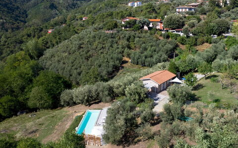 Villa Cristina 3: Baum, Landschaft, Haus, Ländliches Gebiet, Bergstation, Hütte, Estate, Steigung, Dorf, Eco Hotel