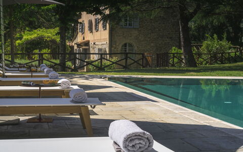 Villa Metelliano 10: Schwimmbad, Gartenmöbel, Möbel, Verbundwerkstoff, Resort, Sonnenliege, Stuhl, Estate, Flagstone, Eco Hotel