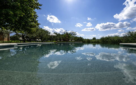 Podere Gellino 14: Blau, Wasser, Natur, Reflexion, Schwimmbad, Teich, Garten, Water Feature, Reservoir, Reflecting Pool