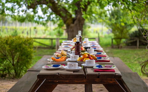 Sangiovese 14: Geschirr, Tabelle, Möbel, Essen, Gartenmöbel, Garten, Tisch Im Freien, Servierware, Frühstück, Picknick