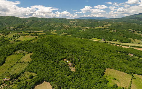 Villa Palazzolo 8: Natürlichen Umgebung, Natürliche Landschaft, Hochland, Landschaft, Wiese, Terrain, Wald, Bergstation, Vogelperspektive, Plantage