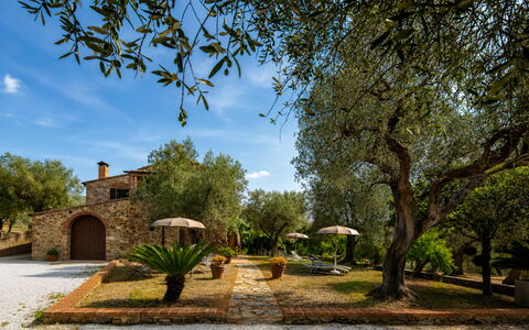 Casale le Lupe Apartments: Garten, Estate, Hazienda, Landscaping, Bauernhaus, Garten, Villa, Schatten, Hinterhof, Auffahrt