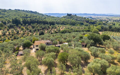 Casale le Lupe Apartments: Baum, Vegetation, Landschaft, Ländliches Gebiet, Pflanzengemeinschaft, Grundstueck, Wiese, Einfach, Plantage, Feld