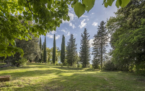 Casa Clara Pool, Casole Elsa, Monti: Blatt, Baum, Natur, Grün, Natürlichen Umgebung, Ast, Vegetation, Natürliche Landschaft, Strauch, Pflanzengemeinschaft
