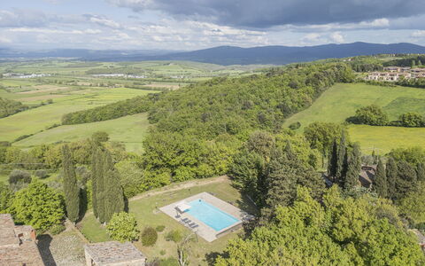 Casa Clara Pool, Casole Elsa, Monti: Landschaft, Estate, Landscaping, Plantage, Bauernhaus, Villa, Hazienda, Schwimmbad, Immergrün