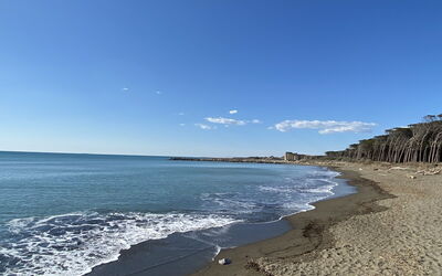 Linaglia