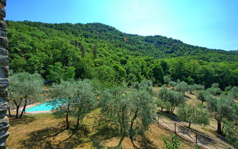 Poggio Conca: Vegetation, Natur, Wildnis, Naturschutzgebiet, Natürlichen Umgebung, Bergforms, Baum, Berg, Biome, Bergstation