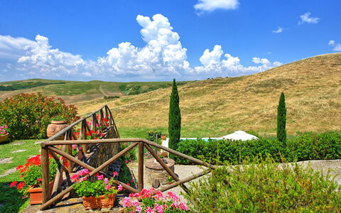 Castelmuzio: Natur, Natürliche Landschaft, Vegetation, Himmel, Wolke, Berg, Wiese, Natürlichen Umgebung, Wildnis, Gras