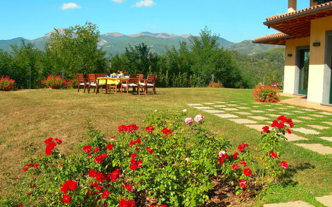 Villa Saida: Natürliche Landschaft, Garten, Blume, Eigentum, Botanischer Garten, Garten, Pflanze, Botanik, Frühling, Wildnis