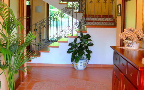 Villa Saida: Eigentum, Fussboden, Zimmer, Gebäude, Zimmerpflanze, Empfangshalle, Interior Design, Fliese, Grundeigentum, Flooring