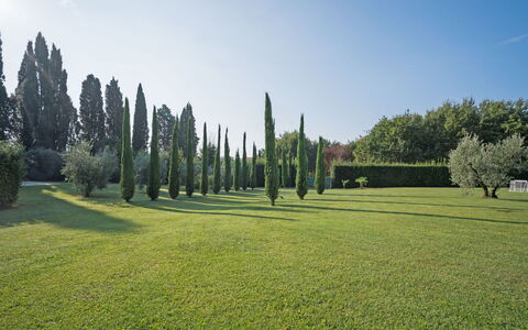 Villa Fontine: Baum, Grün, Gras, Natürliche Landschaft, Grundstueck, Sportveranstaltung, Wiese, Himmel, Biome, Garten