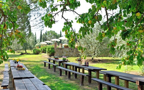Montelopio: Natur, Naturschutzgebiet, Baum, Natürliche Landschaft, Botanik, Walkway, Gras, Garten, Pflanze, Frühling