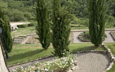 La Maccinaia 14