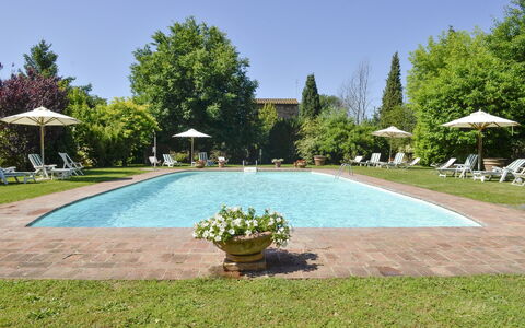 San Pietro: Eigentum, Schwimmbad, Grundeigentum, Gras, Rasen, Wohngebiet, Baum, Urlaub, Freizeit, Estate