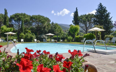 San Pietro: Schwimmbad, Resort, Eigentum, Freizeit, Urlaub, Botanik, Grundeigentum, Landschaft, Tourismus, Botanischer Garten
