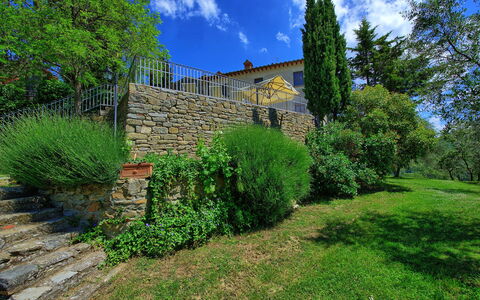 Panzalla: Vegetation, Eigentum, Grün, Natürliche Landschaft, Wand, Baum, Haus, Gras, Himmel, Die Architektur