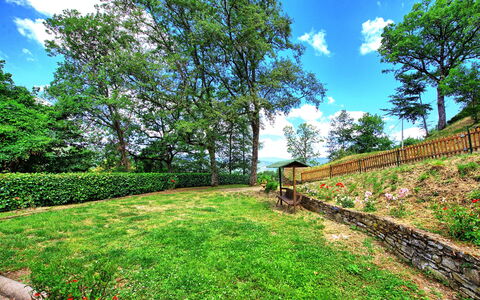 Villa Margherita: Natur, Vegetation, Eigentum, Grün, Himmel, Natürliche Landschaft, Grundeigentum, Baum, Gras, Garten