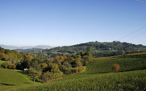La Selva: Natürliche Landschaft, Hügel, Natur, Bergforms, Himmel, Wiese, Vegetation, Feld, Hochland, Natürlichen Umgebung