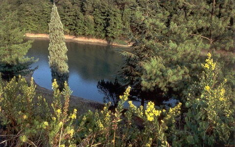 La Selva: Vegetation, Natur, Naturschutzgebiet, Biome, Natürliche Landschaft, Wildnis, Baum, Pflanzengemeinschaft, Wasser, Pflanze