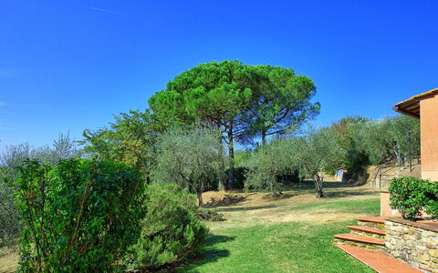 La Selva: Natur, Grün, Natürliche Landschaft, Baum, Eigentum, Vegetation, Himmel, Gras, Garten, Grundeigentum