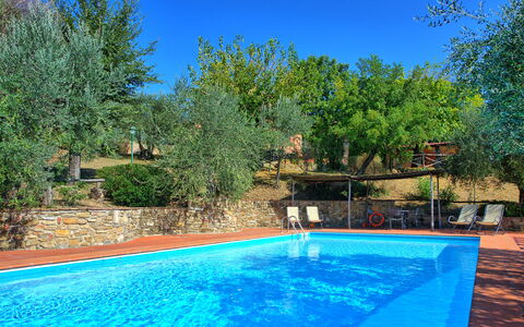 La Selva: Schwimmbad, Eigentum, Natürliche Landschaft, Grundeigentum, Freizeit, Baum, Zuhause, Estate, Haus, Hinterhof