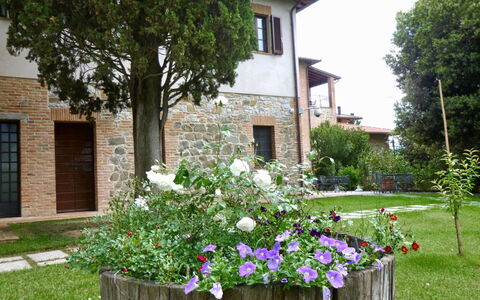 Città della Pieve 300: Eigentum, Haus, Garten, Blume, Garten, Pflanze, Zuhause, Gebäude, Strauch, Gras