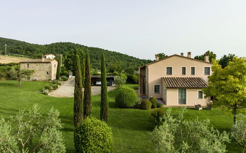Villa Danilo: Pflanze, Himmel, Gebäude, Fenster, Baum, Natürliche Landschaft, Grundstueck, Haus, Hütte, Landschaft