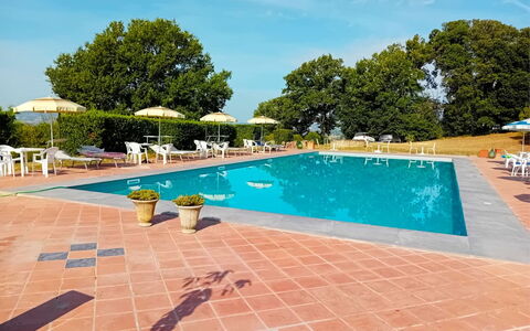 Fattoria le Chianacce: Wasser, Himmel, Pflanze, Gebäude, Schwimmbad, Azurblau, Baum, Gartenmöbel, Wolke, Stuhl