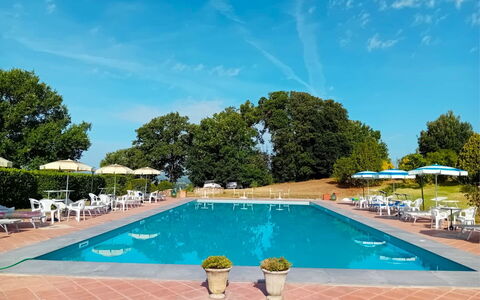 Fattoria le Chianacce: Wasser, Himmel, Pflanze, Wolke, Schwimmbad, Gebäude, Azurblau, Baum, Gartenmöbel, Schatten